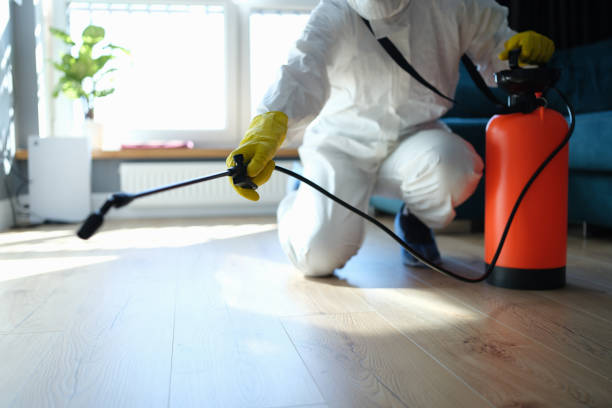Reliable Hoarding Cleanup contractor in Edison, NE by Trauma Clean Pros